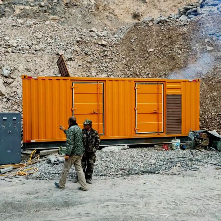 大丰镇如何选择适合自己的 800KW 柴油发电机组？