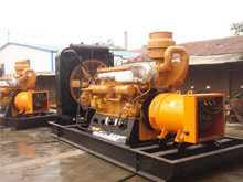 大丰镇发电机组的频率规格是如何确定的？