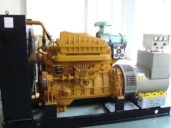 大丰镇有哪些有效的方法可以预防柴油发电机组的蓄电池出现硫化现象？